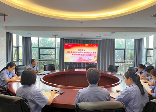 麦斯克电子二支部召开进修贯彻习近平新时期中国特点社会主义思惟专题构造糊口会
